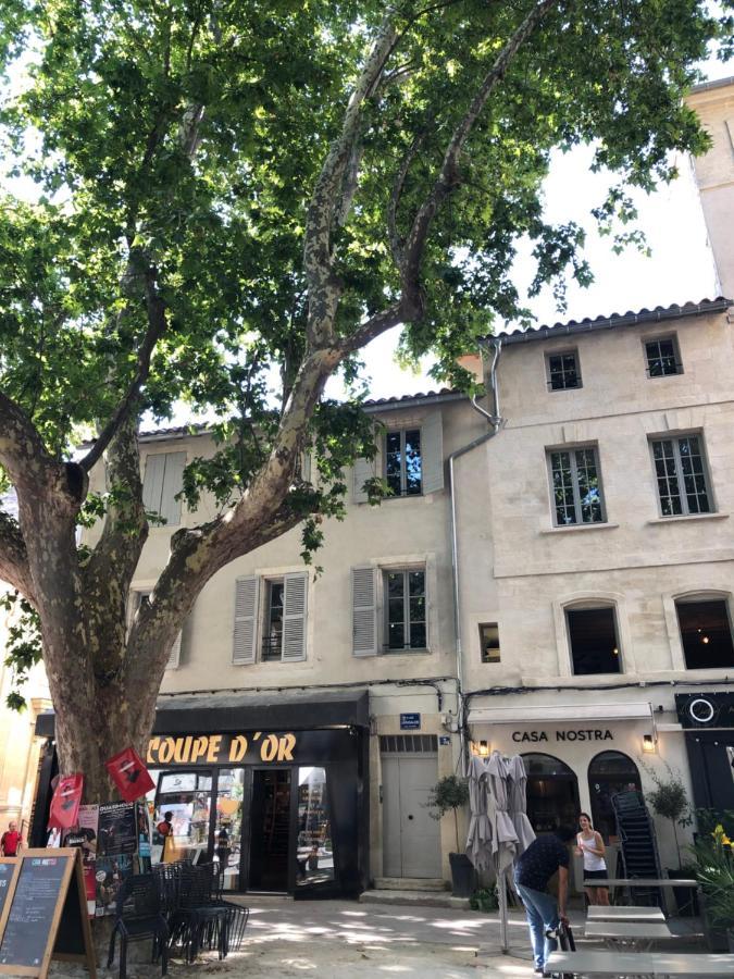 Avignon hyper-centre piéton, rénové à neuf, charmant Exterior foto