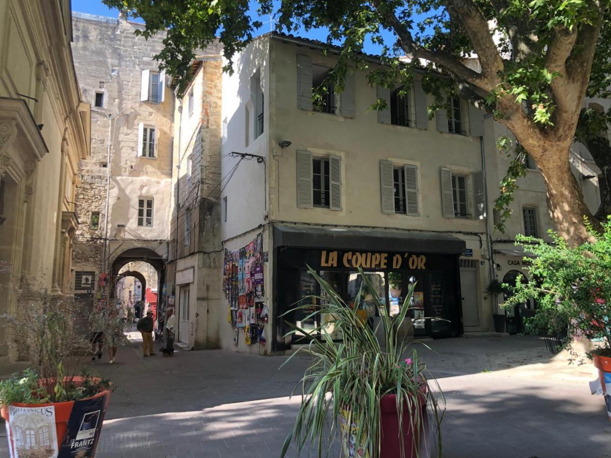 Avignon hyper-centre piéton, rénové à neuf, charmant Exterior foto