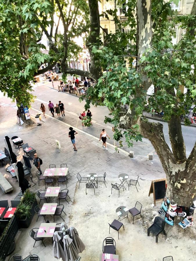 Avignon hyper-centre piéton, rénové à neuf, charmant Exterior foto